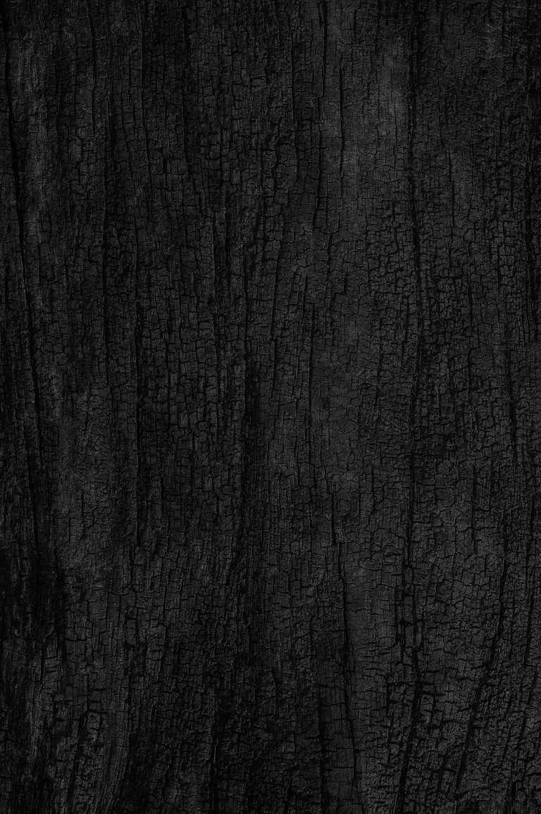 shutterstock 615241187